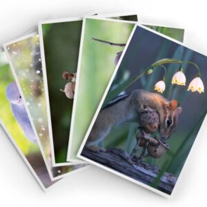 Beacorn Card