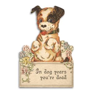 In Dog Years You're Dead Card